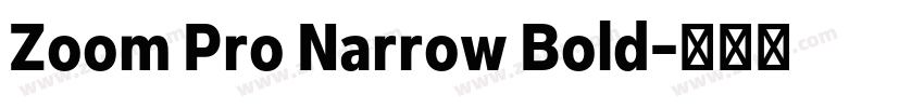 Zoom Pro Narrow Bold字体转换